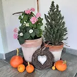 Aschaber Apartman Wildschönau