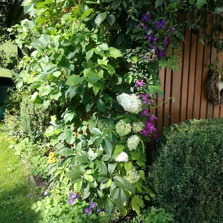 Aschaber Apartment Wildschoenau