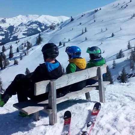 Apartment Aschaber *