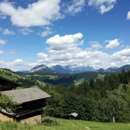 Aschaber Apartment Wildschoenau