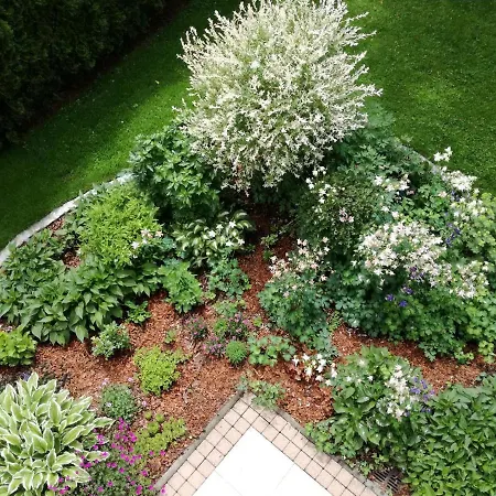 Apartment Aschaber Wildschoenau