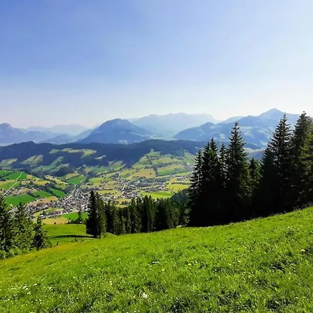 Aschaber Apartment *