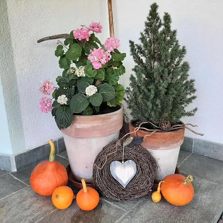 Aschaber Apartment Wildschoenau